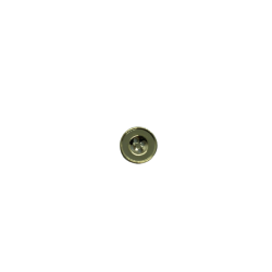 Botones de Plástico Metalizado modelo 2667