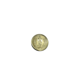 Botones de Plástico Metalizado modelo 657