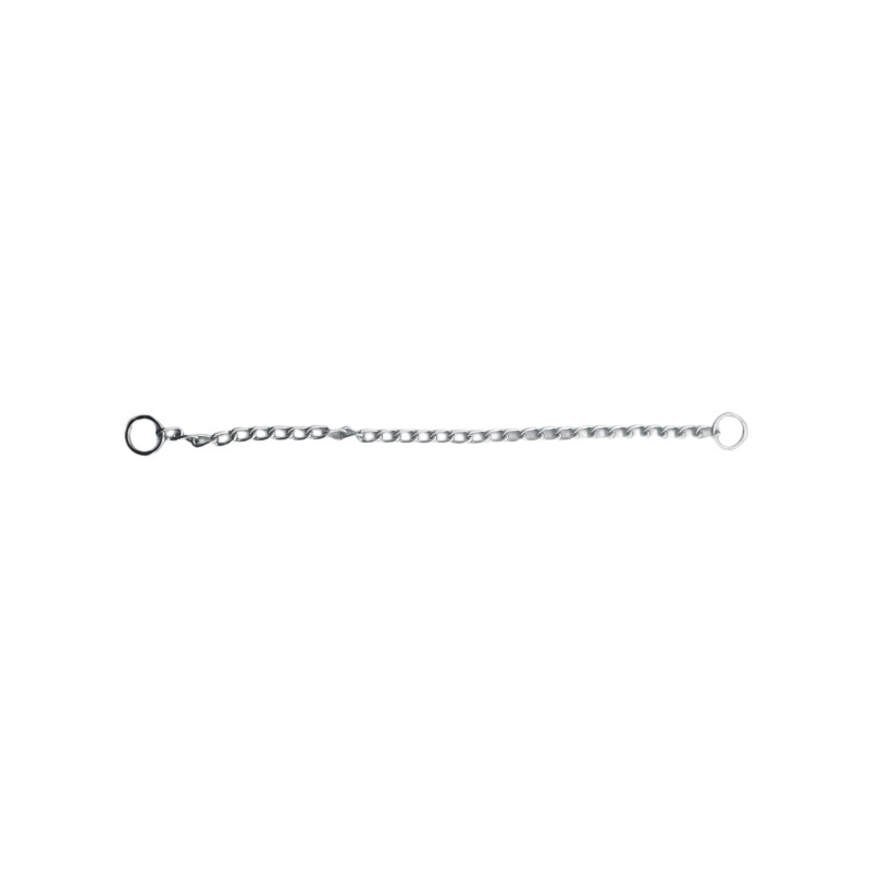 Collar de castigo