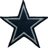 NFL 13