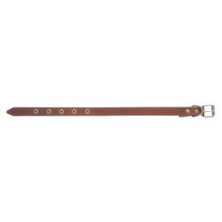 Collar para perro